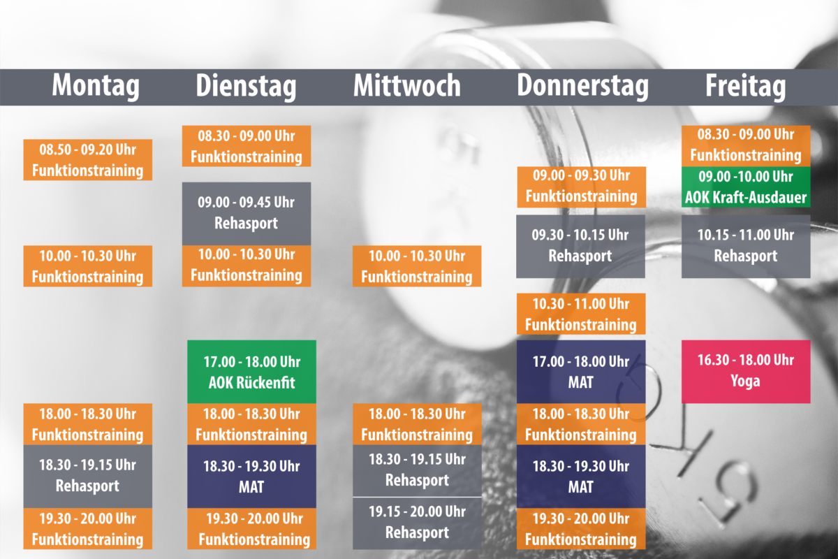 Kursplan_Web